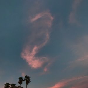 Meet your Posher, Adriana